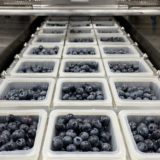 https://nickeygregory.com/wp-content/uploads/2024/03/In-Line-Fruit-Tray-Blueberries-160x160.jpeg