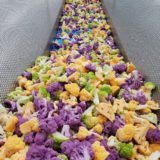 https://nickeygregory.com/wp-content/uploads/2024/03/Tri-Colored-Cauliflower-160x160.jpg